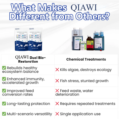 ✨Crystal Clear Water in Just One Night ! | ⏱️ Cristallin en 24 Heures ! | QIAWI EFFICIENT CLEANING Pro Formula