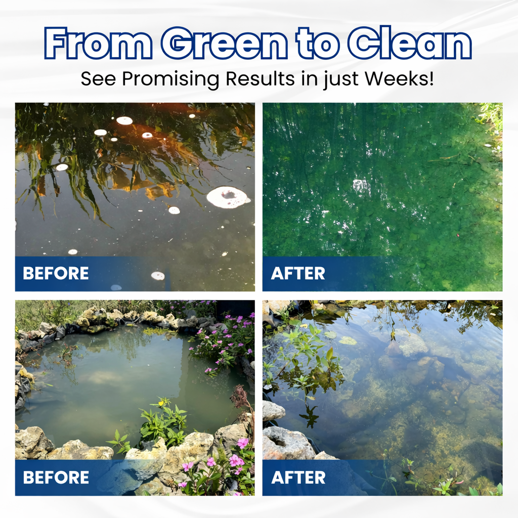 ✨Crystal Clear Water in Just One Night ! | ⏱️ Cristallin en 24 Heures ! | QIAWI EFFICIENT CLEANING Pro Formula