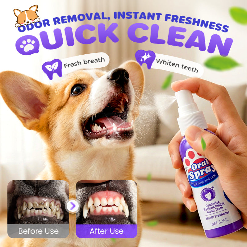 🔥Limited Time🔥Teeth Cleaning Spray for Pets || Veterinarian Recommended 🏆