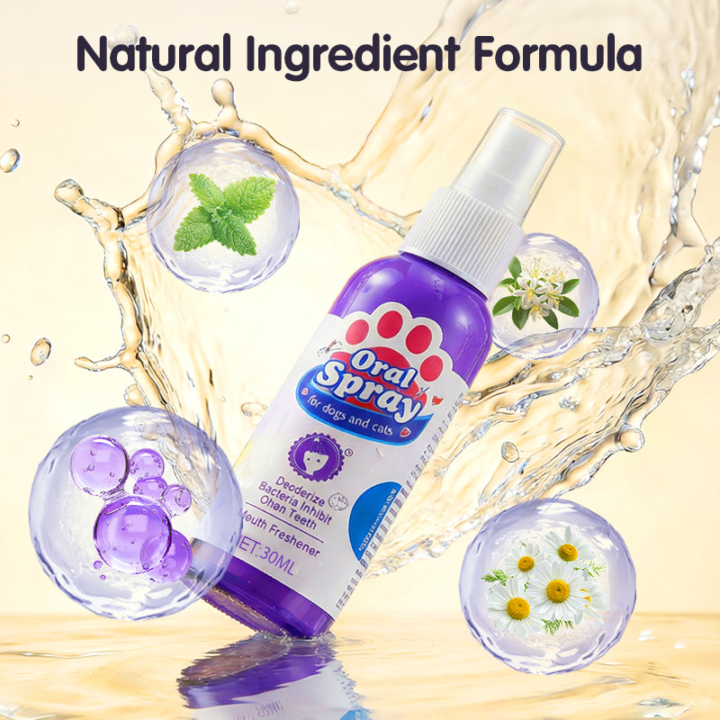 🔥Limited Time🔥Teeth Cleaning Spray for Pets || Veterinarian Recommended 🏆