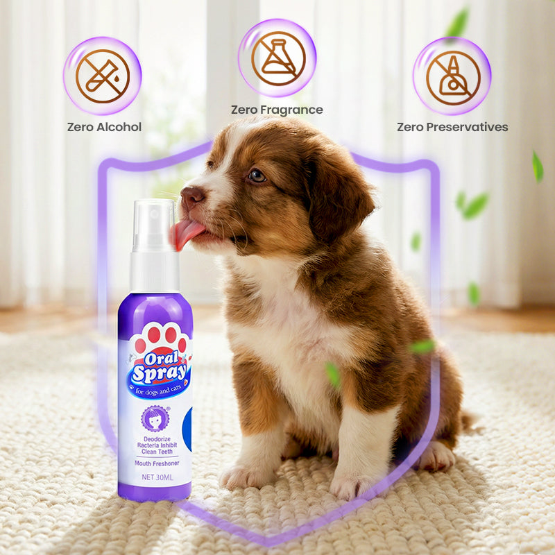 🔥Limited Time🔥Teeth Cleaning Spray for Pets || Veterinarian Recommended 🏆