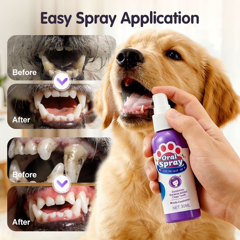 🔥Limited Time🔥Teeth Cleaning Spray for Pets || Veterinarian Recommended 🏆