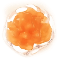 LOVILDS Micro-Molecular Collagen Anti-Wrinkle Lotion image LOVILDS Micro-Molecular Collagen Anti-Wrinkle Lotion