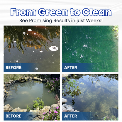 ✨ From Green to Clean Overnight! |⏱️ Crystal Clear in 24 Hours! | Juxek® Aqua-Guardian Pro Formula