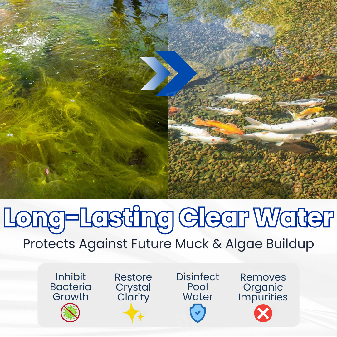 ✨Crystal Clear Water in Just One Night ! | ⏱️ Cristallin en 24 Heures ! | QIAWI EFFICIENT CLEANING Pro Formula
