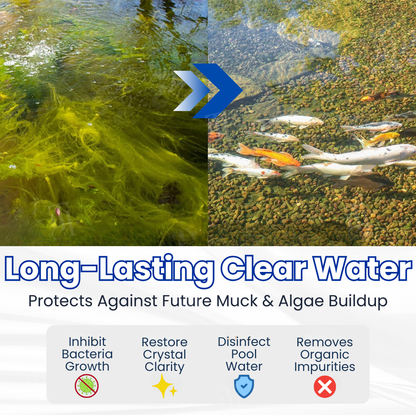 ✨Crystal Clear Water in Just One Night ! | ⏱️ Cristallin en 24 Heures ! | QIAWI EFFICIENT CLEANING Pro Formula