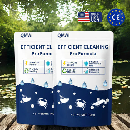 ✨Crystal Clear Water in Just One Night ! | ⏱️ Cristallin en 24 Heures ! | QIAWI EFFICIENT CLEANING Pro Formula