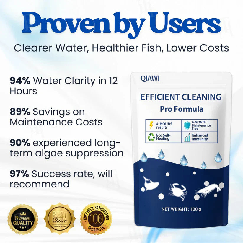 ✨Crystal Clear Water in Just One Night ! | ⏱️ Cristallin en 24 Heures ! | QIAWI EFFICIENT CLEANING Pro Formula