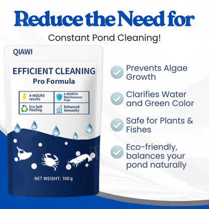 ✨Crystal Clear Water in Just One Night ! | ⏱️ Cristallin en 24 Heures ! | QIAWI EFFICIENT CLEANING Pro Formula