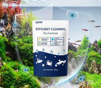 ✨Crystal Clear Water in Just One Night ! | ⏱️ Cristallin en 24 Heures ! | QIAWI EFFICIENT CLEANING Pro Formula