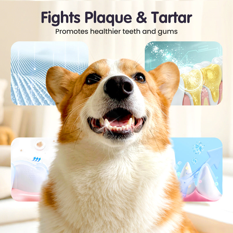🔥Limited Time🔥Teeth Cleaning Spray for Pets || Veterinarian Recommended 🏆