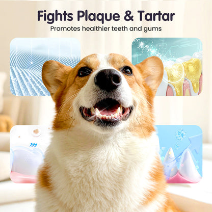 🔥Limited Time🔥Teeth Cleaning Spray for Pets || Veterinarian Recommended 🏆